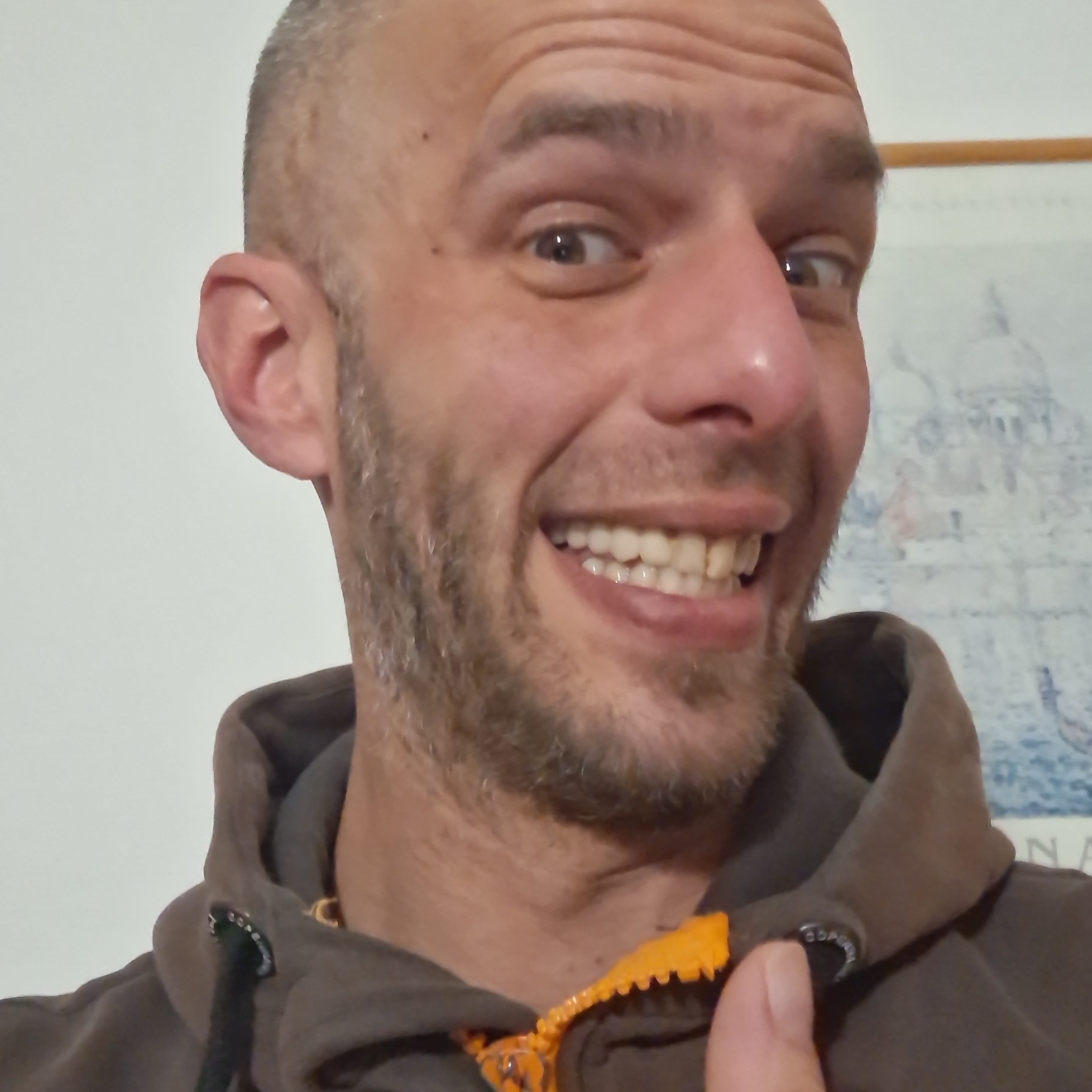 Ivo